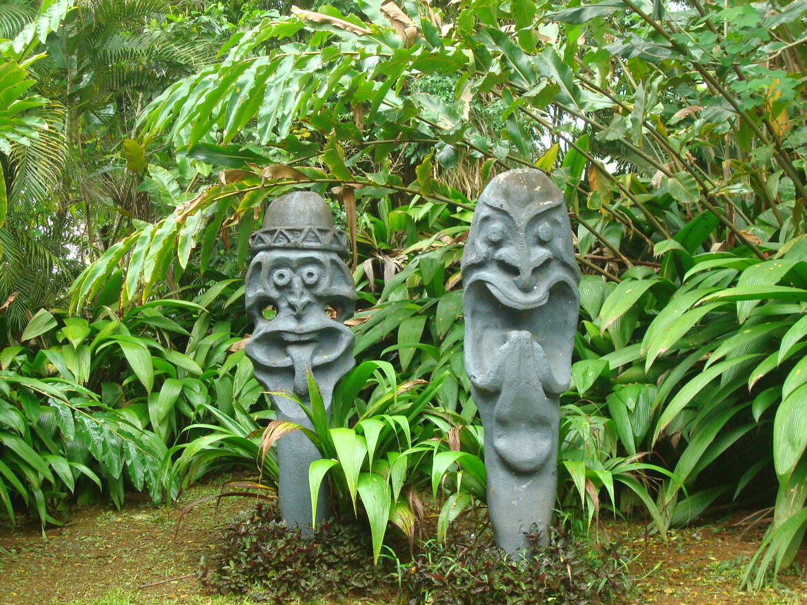 Fiji viti levu rainforest